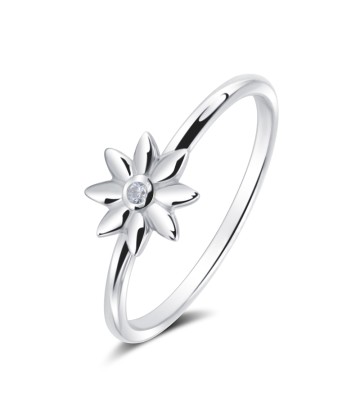 Silver Ring NSR-4245